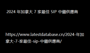 2024 年加拿大 7 家最佳 SIP 中繼供應商