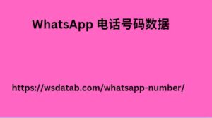 WhatsApp 电话号码数据